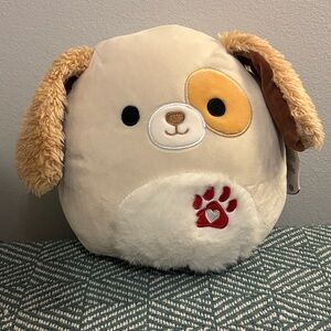 Harrison the Dog Valentine's Day Squishmallow
